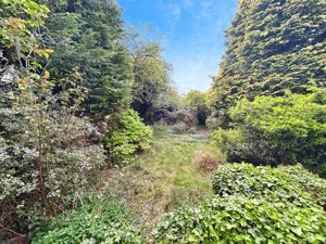 Photo 11- click for photo gallery